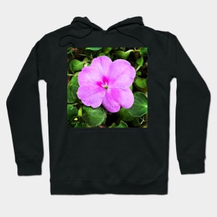 Busy Lizzie/Impatiens walleriana Hoodie